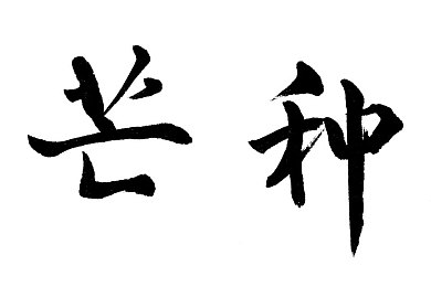 TV好色先生,娱乐新风尚，笑看娱乐圈