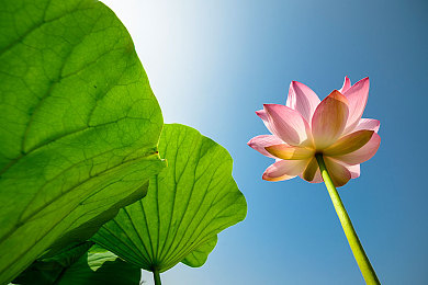 找AV导航秘 入口,揭秘：轻松找到优质资源，安全导航秘籍！-1