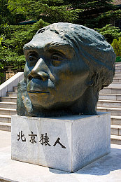 8x8x8x8,数字密码背后：揭秘我国互联网产业新商机