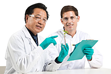 《部落幸存者》亚麻和芦苇使用心得分享-1