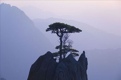 国产重口老太和另类俩小伙,老太另类小伙直播爆笑盛宴-1