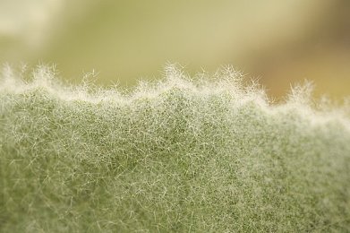 搓澡浴室ChineseXXX：东方搓澡体验，游戏新亮点-1