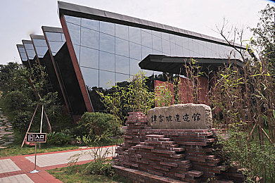 性少妇mdms丰满Lis,丰满少妇传奇：自信魅力引关注-2