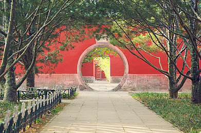 新金银1-5,游戏新贵：神秘世界等你探险-3