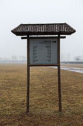 性少妇mdms丰满Lis,丰满少妇传奇：自信魅力引关注-3