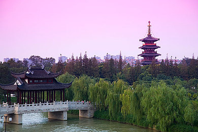 我干网,平台崛起，服务至上，引领互联网新潮流-1