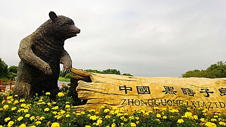 天天舔狠狠干,职场新体验，游戏热翻天-2