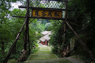 一个综合色,色彩新宠，引领时尚潮流-1