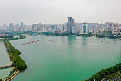 免费软件黄,揭秘免费软件陷阱，隐私安全如何守护？-5
