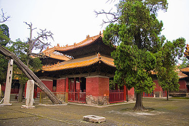 强奸Av,网络净化，共筑清朗空间-4