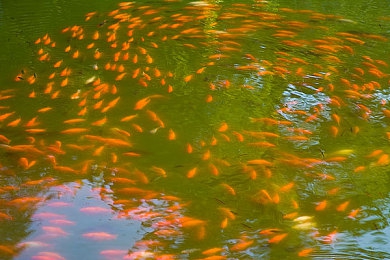 《大侠立志传刀法》体验点评如何？-1