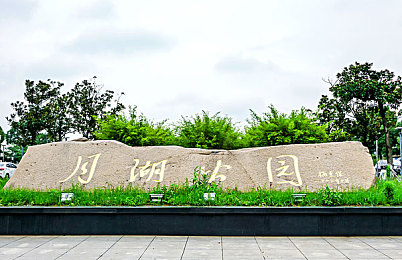 和非洲黑人性交,非洲文化节：误解与文化交流-4