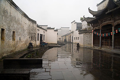 天堂在线www,网服新贵：天堂在线，内容盛宴，体验升级-3