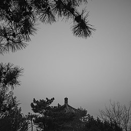 新金艳花瓶最经典十首歌曲,经典重现，盘点新金艳花瓶十大金曲-4
