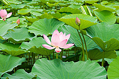 sm一区二区三区,城市豪宅区揭秘：SM三区领衔宜居生活-5