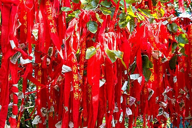 动漫美女裸体ApP,动漫应用引争议，动漫文化何去何从？-2