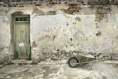 成人火影,《火影新篇》引发粉丝热议-4