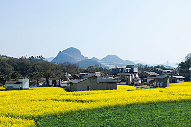 《赤痕：夜之仪式》苹果资源获取技巧揭秘-2
