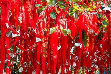 腹肌帅哥自慰-3