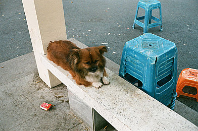 《超猎都市》揭秘：地雷技能功能解析与评价-4